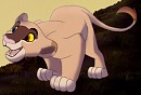 Saphira lionceau