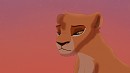Pourquoi ? -Safi-