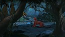 Delta dans la jungle