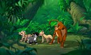 Jungle Walk
