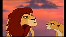 Your Not To Go Near Him..