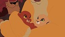 Newborn Cubs