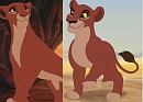 Niya redesign