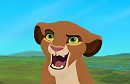 Prize for Lionobession 2/2 (Amani)