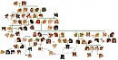 Family Tree #4 *Revisited*