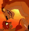  Hey There Little Cub 