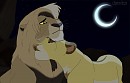 Under the Moonlight