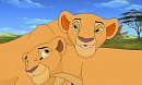 Nia & Sayaga