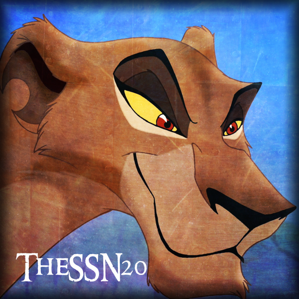 TheSSN20