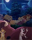 The Lion Sleeps Tonight