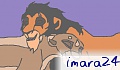 imara24