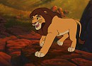 Majestic king