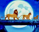 Three Simba's