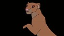 C�twani