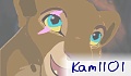 kam1101