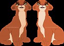 Diata Colors Comparison 