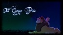 The Canyon Pride in the stars