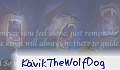 K�vikTheWolfDog