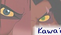 Kawa�