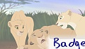 dailymilk