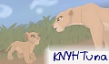 KNYHTuna