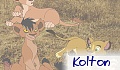 kolton