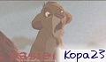 Kops