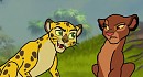 Meeting a cheetah