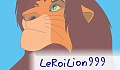 LeRoiLion999