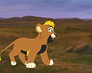 Scrapy se promenant seul sur les terres des lions