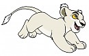 Cub Nabii