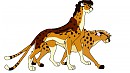 Busara and Moyo