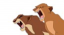 Roaring Competition