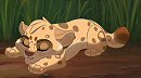 Sleeping Cub