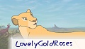 LovelyGoldRoses