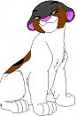 Polly