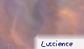 Luscience Luscience