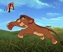 Trade : Chasing Butterflies
