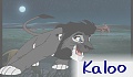 Kaloo