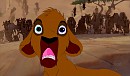 ah!! des gnous!
