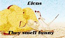 lions smell funny.