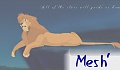 Mesh'