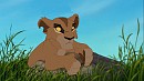 Zira trying to hunt