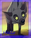 Hello