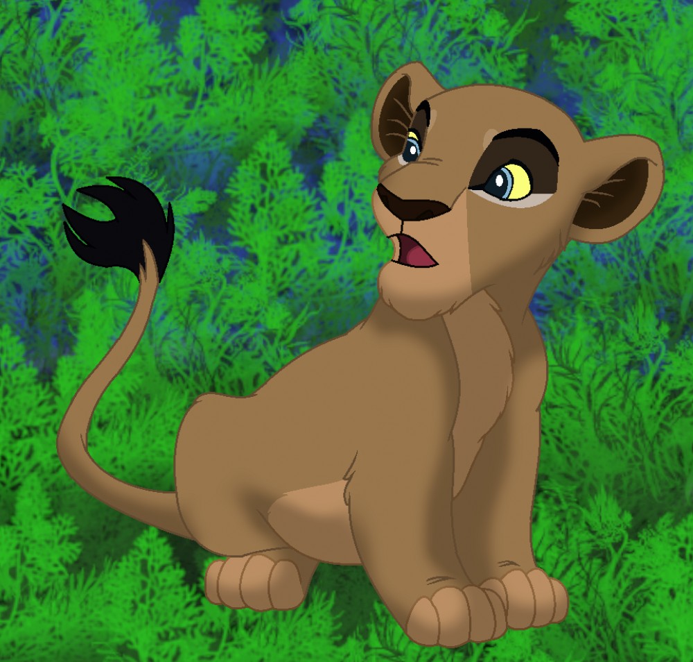 Cub Zaire