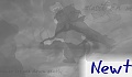 Newt