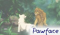 pawface