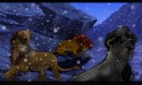  We Must Find Shelter, Kyle! 