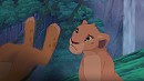 Zuri avec Kion (Adulte)