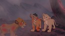 Pardon !-Suite-Pourquoi Nala ?
